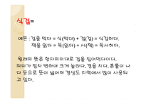 영화 속의 사투리-16