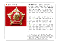 영화 인생活着감상문-8
