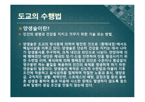 영화로 보는 동양문화-11