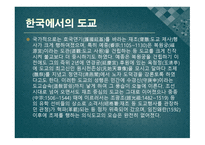 영화로 보는 동양문화-18