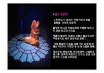 음악의 이해와 감상 프랑스 뮤지컬의 이해-5