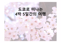 도쿄로 떠나는 4박 5일간의 여행2-1