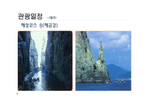 2박 3일 거제 통영 보성 투어-16