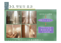 햇빛 쏟아지던 날들 영화감상문-17
