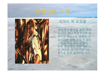 영화 미라 2 작품 분석-3