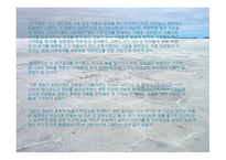 영화 미라 2 작품 분석-15