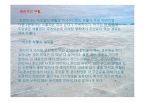 영화 미라 2 작품 분석-17