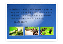 영화의 특수효과-19