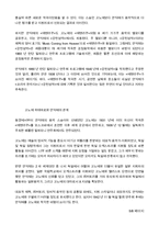 심포니적 판타지 코리아 판타지의 수수께끼 독후감-5