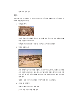 이집트 여행계획서-6