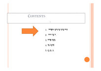 태국여행계획서 동남아인의 삶과 문화-2
