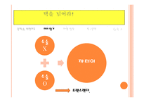 태국여행계획서 동남아인의 삶과 문화-5