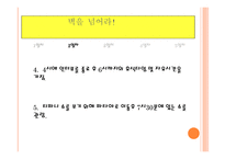 태국여행계획서 동남아인의 삶과 문화-18
