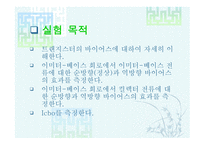 트랜지스터 요약-2