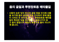 자연과학 개론 영화 속 투명인간과 투명망토-12