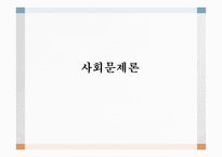 사회 문제론 사회문제의 이론적 관점 요약-1