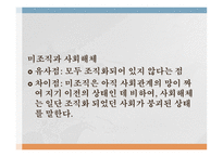 사회 문제론 사회문제의 이론적 관점 요약-15