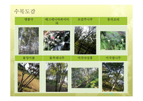 한국 도로공사 수목원 기행문1-8
