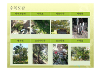 한국 도로공사 수목원 기행문1-9