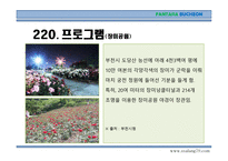 부천시 여행계획서-13