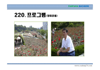 부천시 여행계획서-14