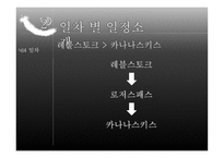 아메리카 여행기 밴쿠버와 캐나디안 로키-13