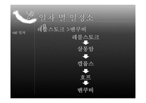 아메리카 여행기 밴쿠버와 캐나디안 로키-19