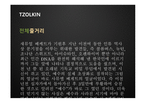 TZOLKIN 영화 기획안-15