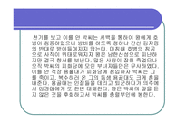 박씨전 감상문과 인물분석 보고-8