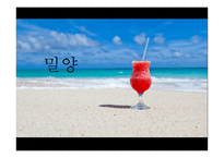 밀양 영화 분석-1