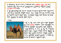 내몽고 성內蒙古省여행-3