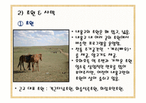 내몽고 성內蒙古省여행-17