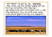 내몽고 성內蒙古省여행-18