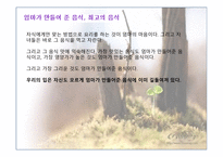 영화 식객 김치전쟁 감상문-10
