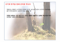 영화 식객 김치전쟁 감상문-13
