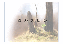 영화 식객 김치전쟁 감상문-15