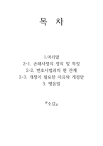 법 개정을 통한 손해사정 제도 방향 제시-2