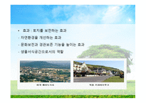 환경법 과정 책 개론-9