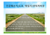 환경법 과정 책 개론-16