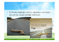 환경법 과정 책 개론-17