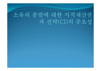 소유의 종말에 대한 지적재산권과 전략 CI-1