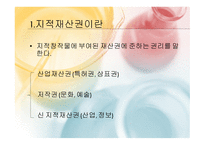지적재산권 레포트-3