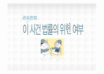관습헌법 판례 헌재 200410212004 헌마 554-13