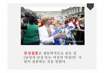 논사동 성결 혼합법화 찬성-2