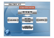 관습헌법의 위치 개론-7