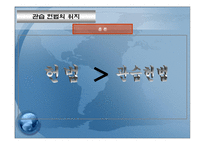 관습헌법의 위치 개론-12