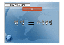관습헌법의 위치 개론-13