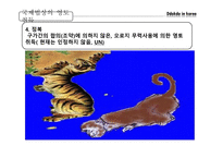 독도 영유권 문제와 국제법상의 승인 국제법 과 독도 영유권 수호정책-11