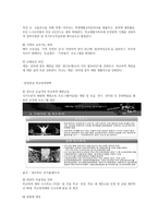 청소년과 학교폭력-4