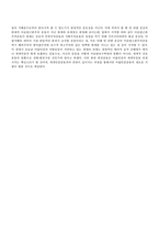 테러 테러 레포트-7